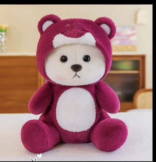 Hoodie Teddy Bear Soft Toy